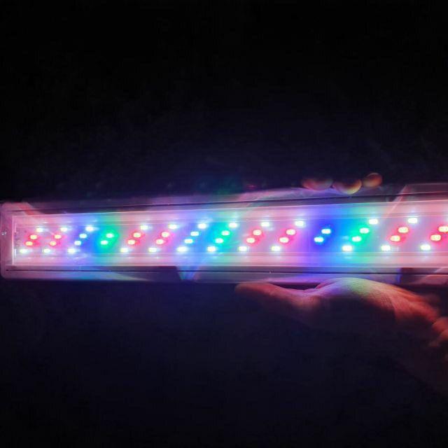 Đèn bể cá ️️ Đèn led máng dành cho bể thủy sinh 20cm, 30cm, 40cm, 50cm, 60cm