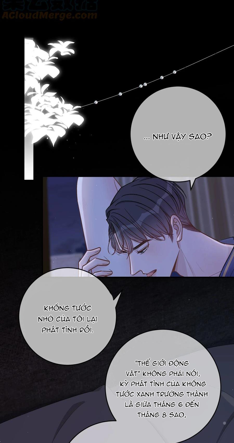 trước và sau ly hôn! chapter 52 22