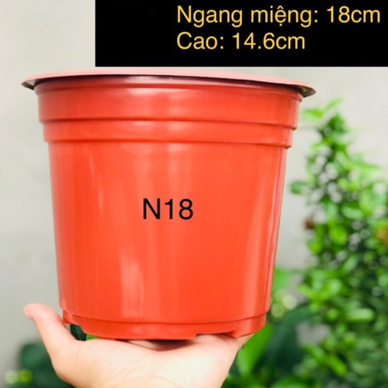 Combo 50 cái Chậu nhựa nâu N18x15cm trồng cây ăn trái và hoa,bền đẹp-77426