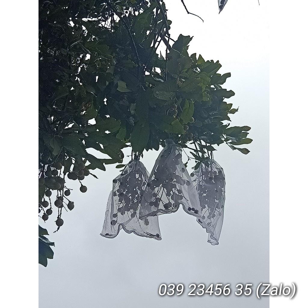 100 CÁI TÚI LƯỚI TỐT BAO BỌC NHÃN, SẦU RIÊNG,MÍT, CÁC LOẠI TRÁI