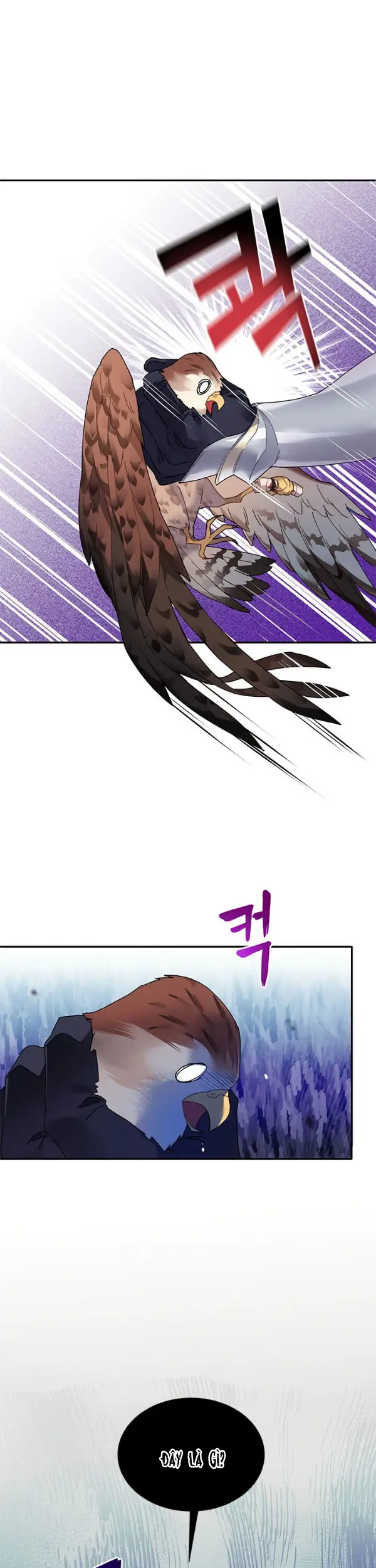 công chúa chim ưng cavier chapter 2 23