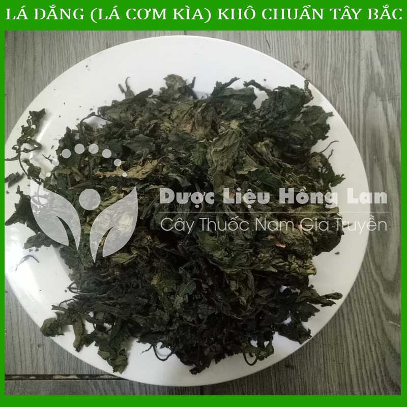 [Thượng hạng] 1KG Lá Đắng (Lá Cơm Kìa) khô chuẩn rừng Tây Bắc