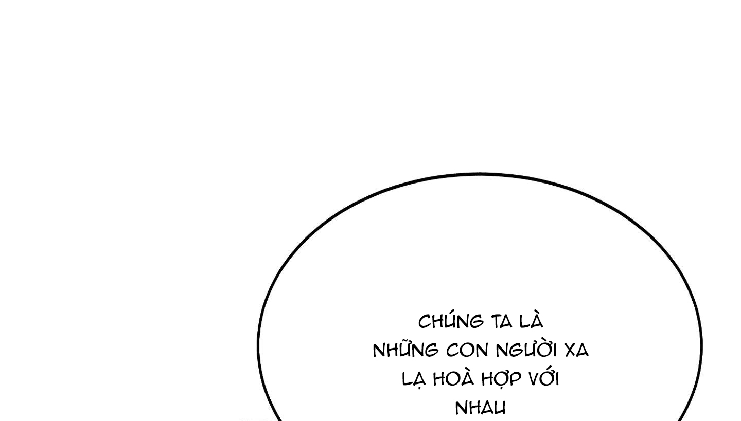 lãng mạn giả dối chapter 19 62