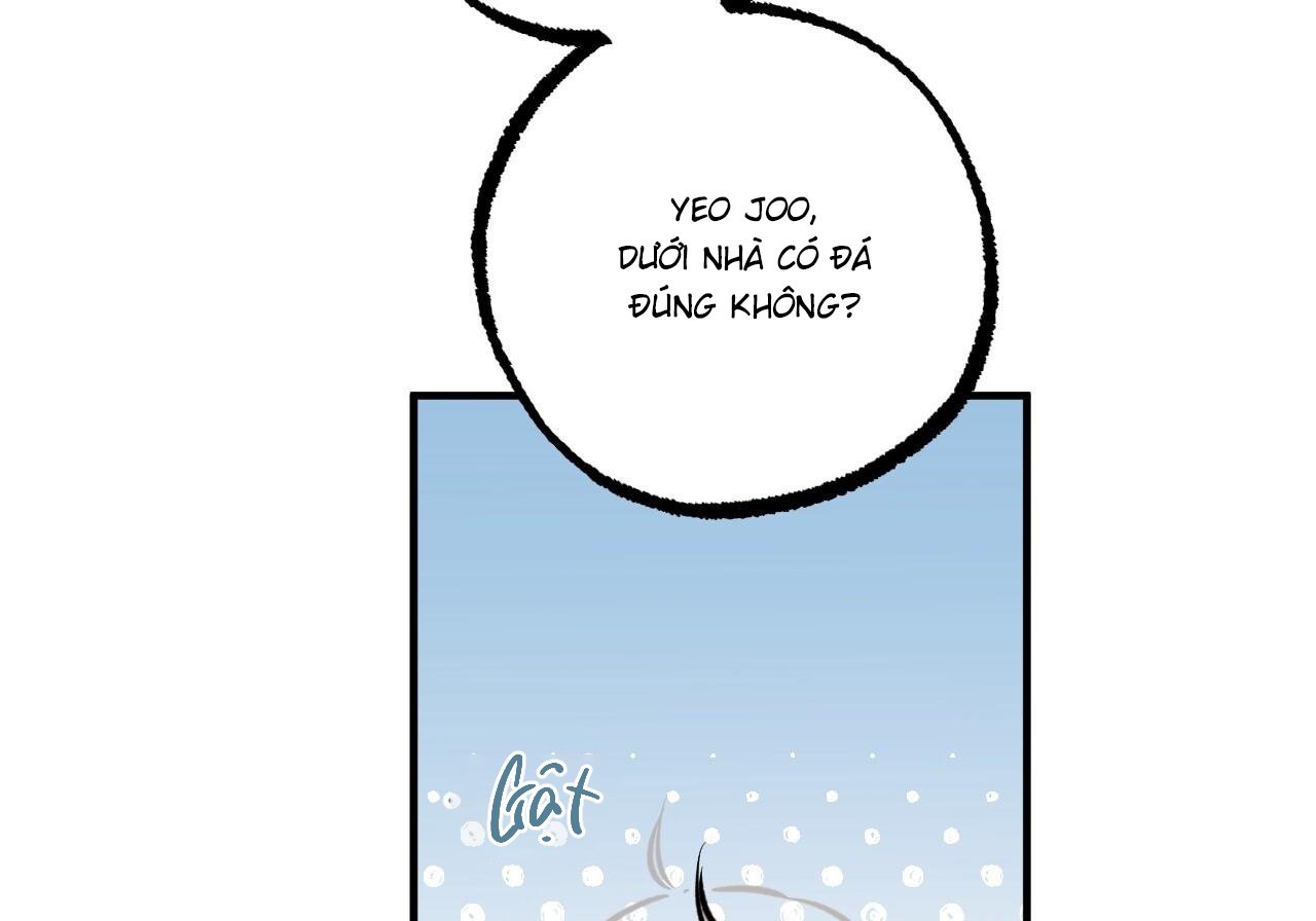 những chú thỏ của hapypy chapter 60 198