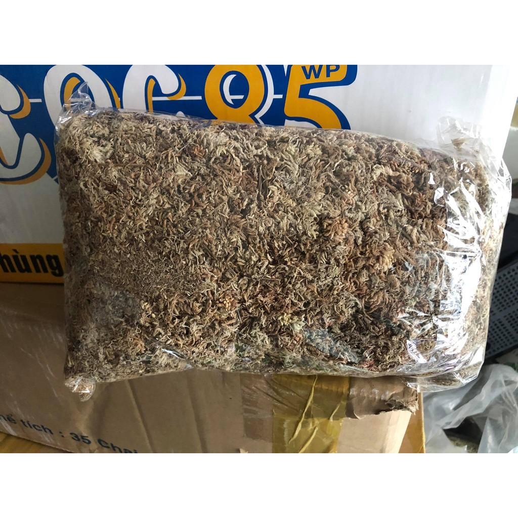 GÍA THỂ TRỒNG LAN CHILEMOSS.
