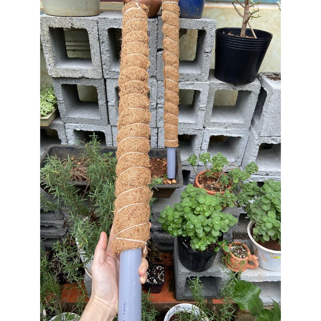 Trụ sơ dừa 130cm. đã khử muối, sợi coton