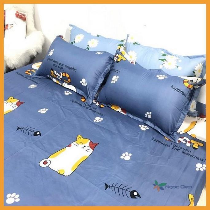 Bộ Chăn Hè Ga Gối Trải Giường Bọc Đệm Mèo Bụng To