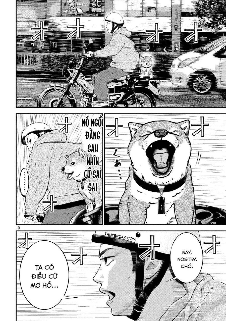 mật danh: nostra chapter 16 10