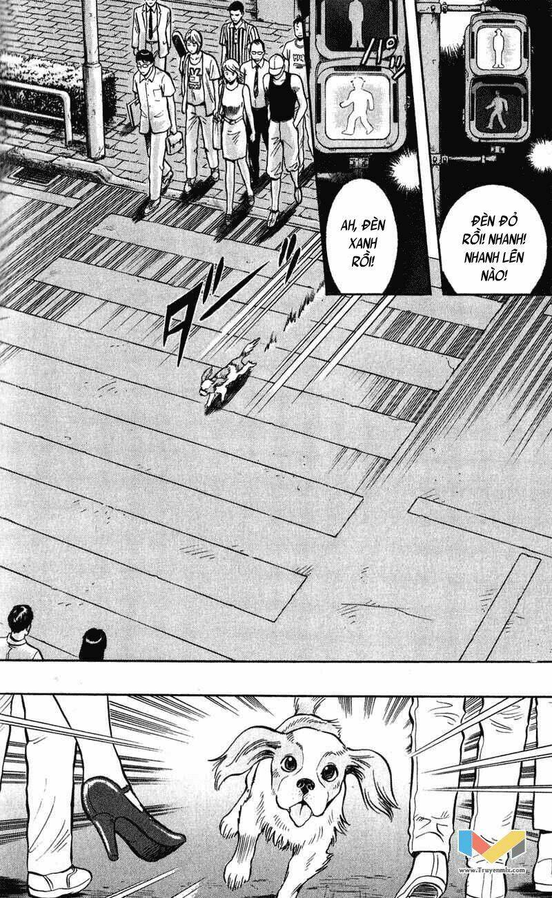 animal sense chapter 6 37