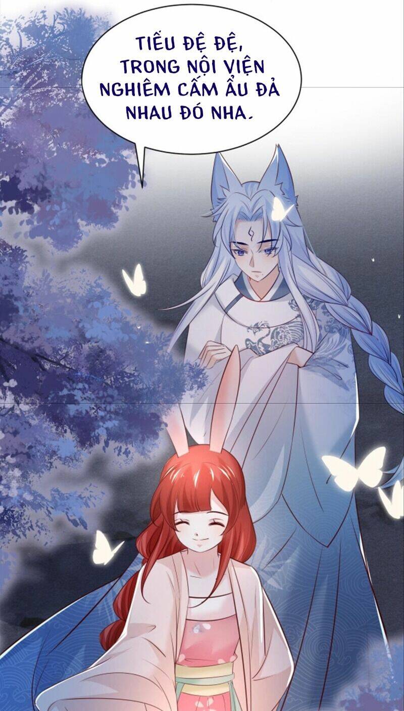 hắc hóa nam chính trực tuyến nuôi thỏ chapter 46 14