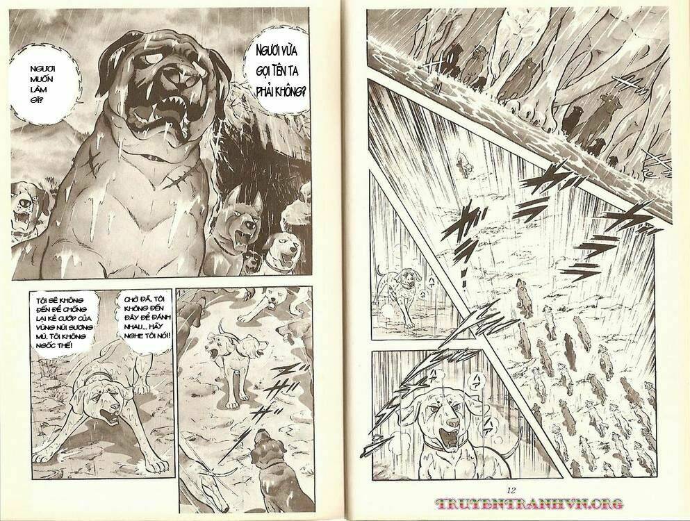 chú chó có nghĩa - ginga nagareboshi gin chapter 13 2