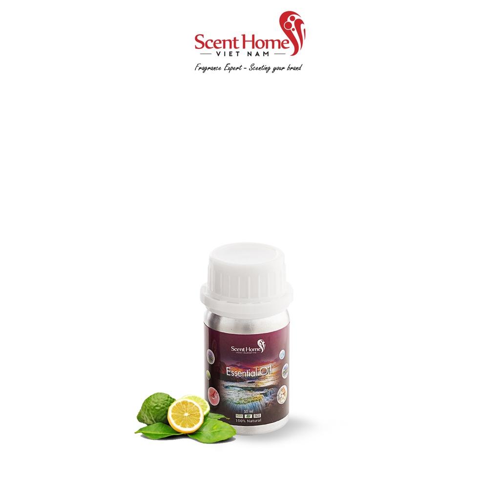 Tinh dầu Scent Homes - mùi hương