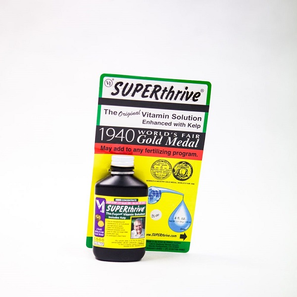 COMBO DINH DƯỠNG CHĂM SÓC CÂY LAN - 4 SẢN PHẨM