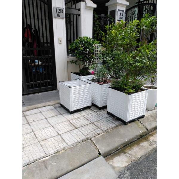 Chậu nhựa lắp ghép.Kích thước 50x50 cao 55 cm.Trồng rau, hoa, cây cảnh.Sang trọng - Thẩm mỹ - Bền hơn 10 năm.Bảo hành 1 năm toàn quốc