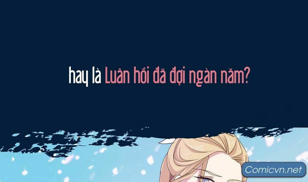 chủ tịch và nữ sát thủ chapter 0 15