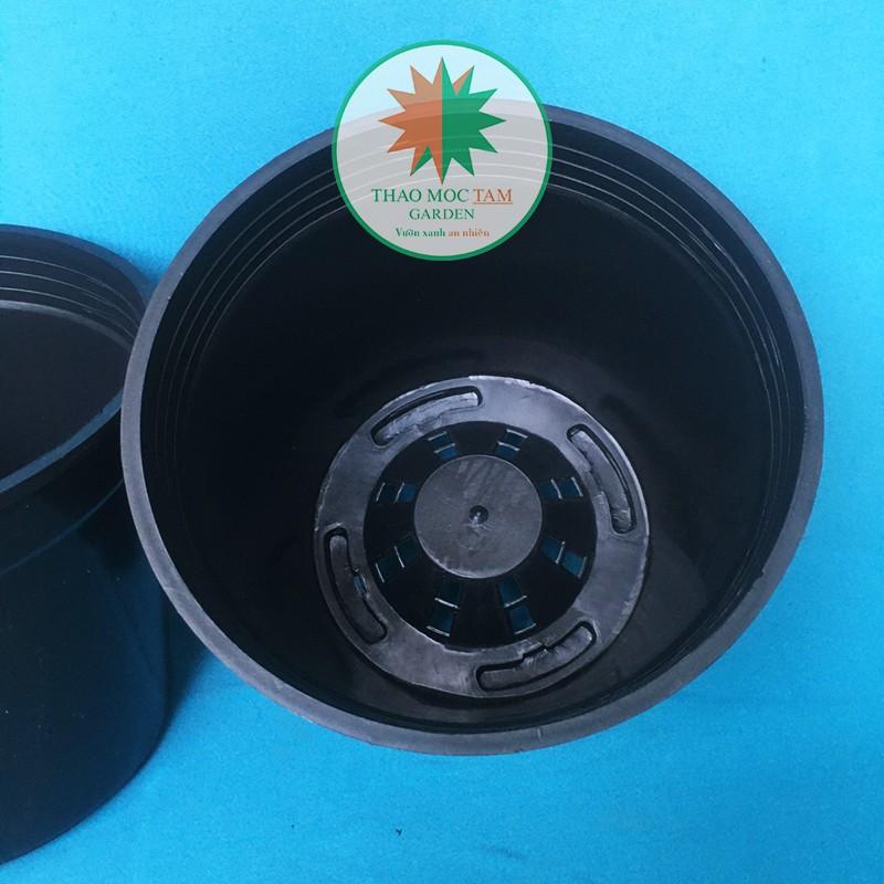 05c Chậu nhựa cứng 22x20cm – Chậu nhựa cứng, dày thích hơp trồng hoa hồng, cây hoa, cây kiểng