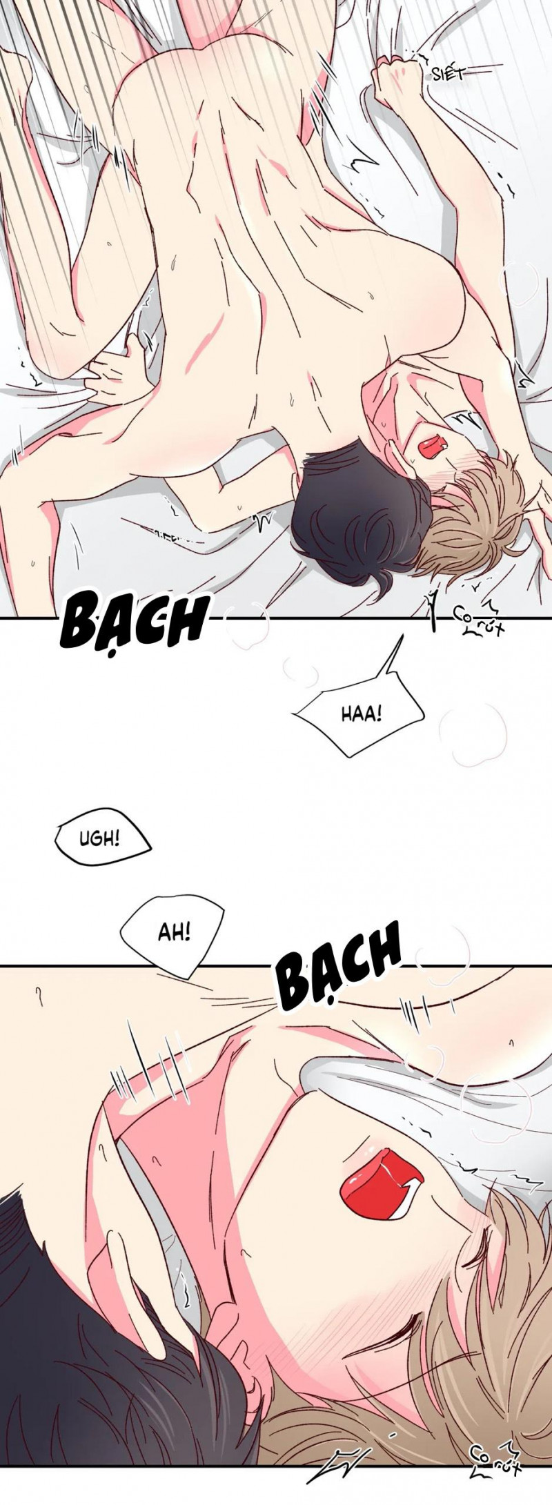 món tráng miệng của sếp tổng chapter 49 12