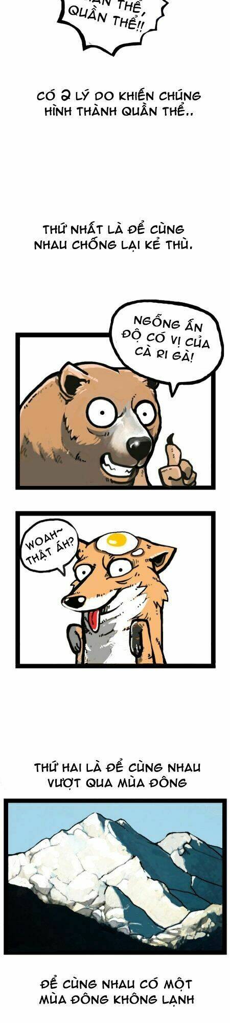 earth, human, and animal chapter 18 14