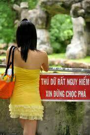 hình ảnh hài hước new chapter 4 3