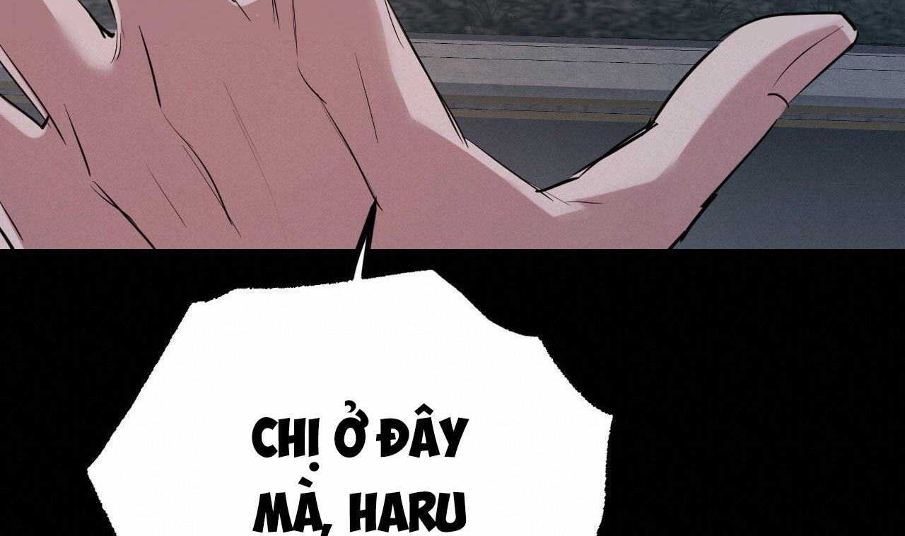 đàn thỏ của habibi chapter 31 267