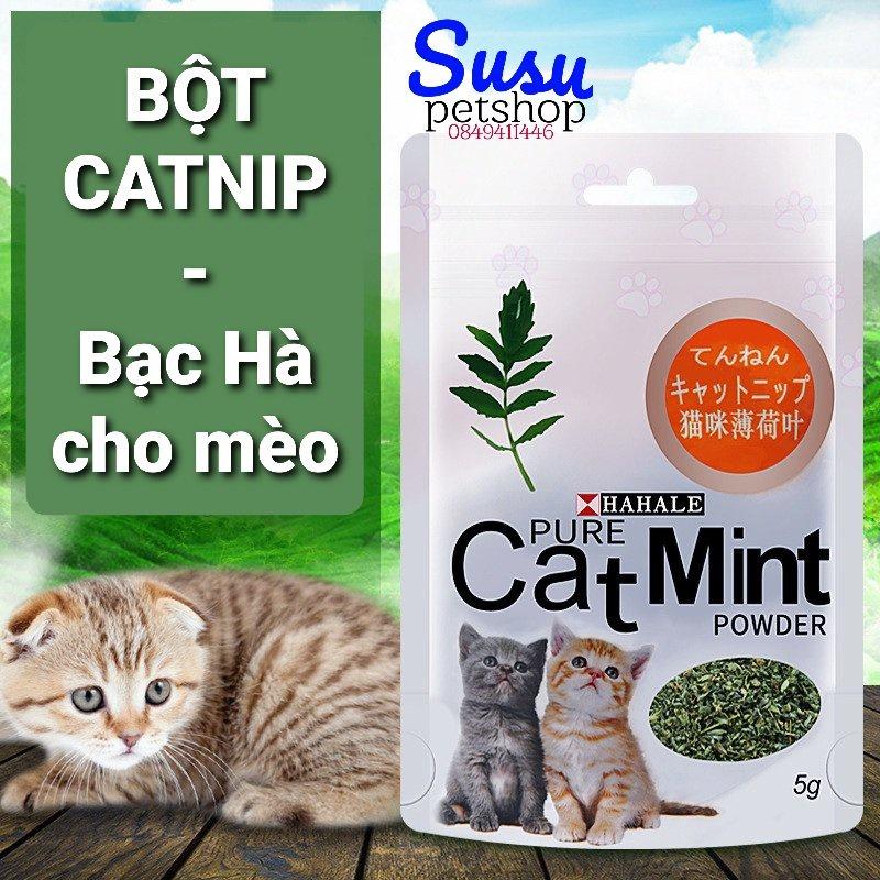 Catnip Bạc Hà cho Mèo gặm sạch răng thơm miệng