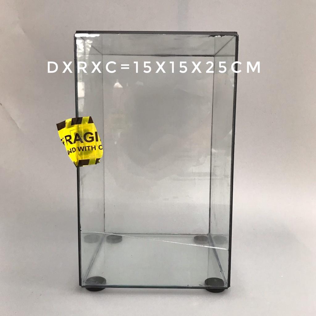 Bể Terrarium Đa Giác Setup Bán Cạn Để Bàn Làm Việc-Vườn Nhiệt Đới