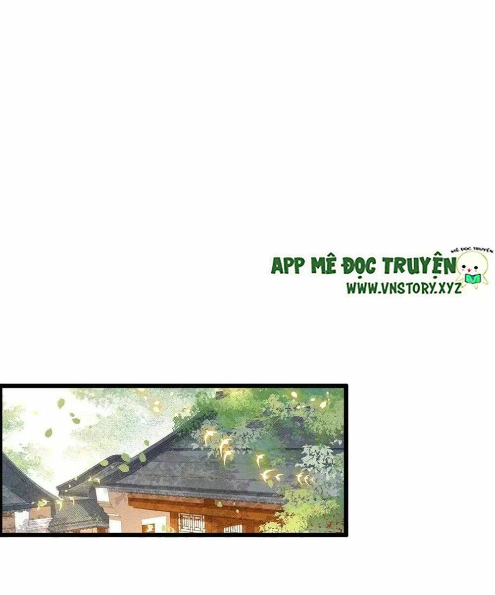 phượng hoàng vu phi chapter 109 23