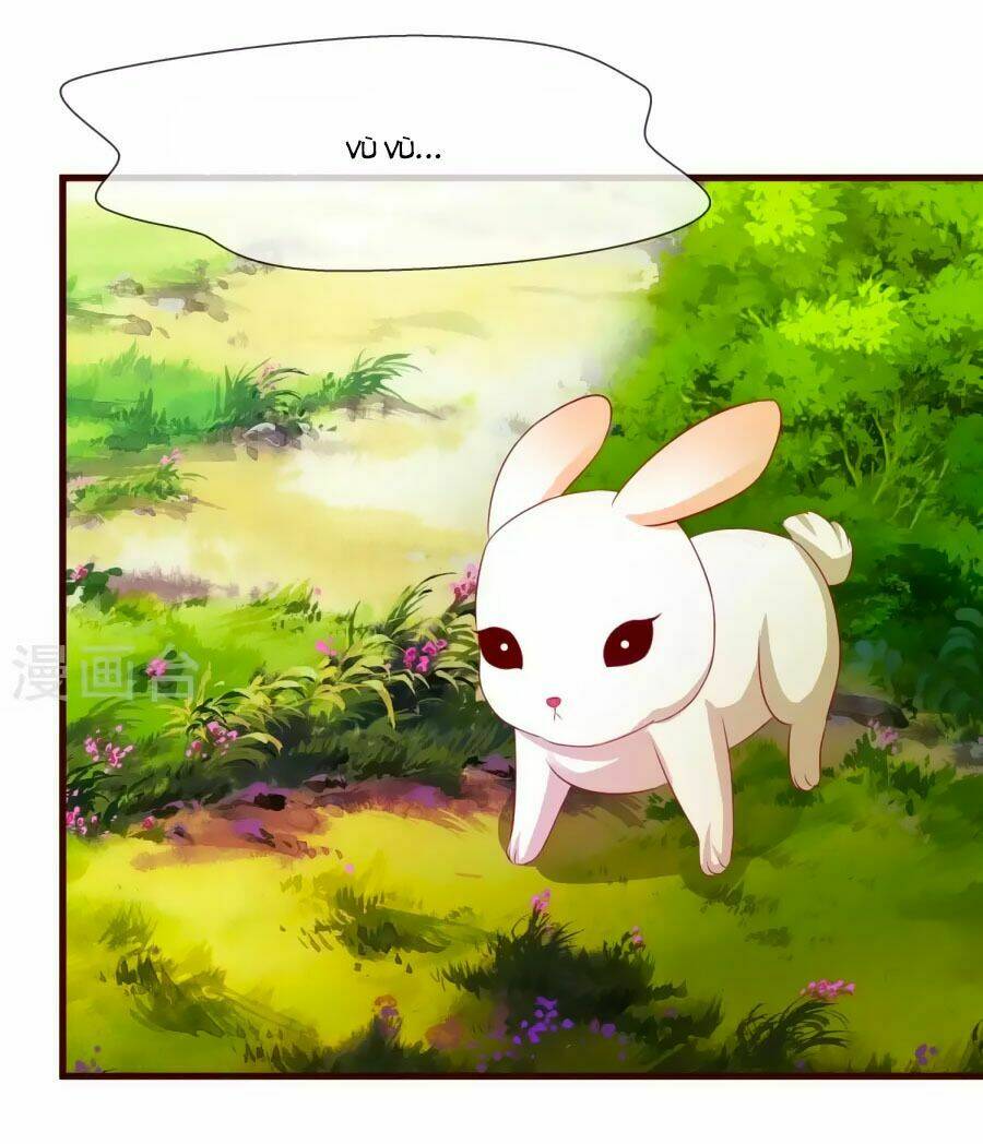 thỏ yêu tiểu vương phi chapter 18 10