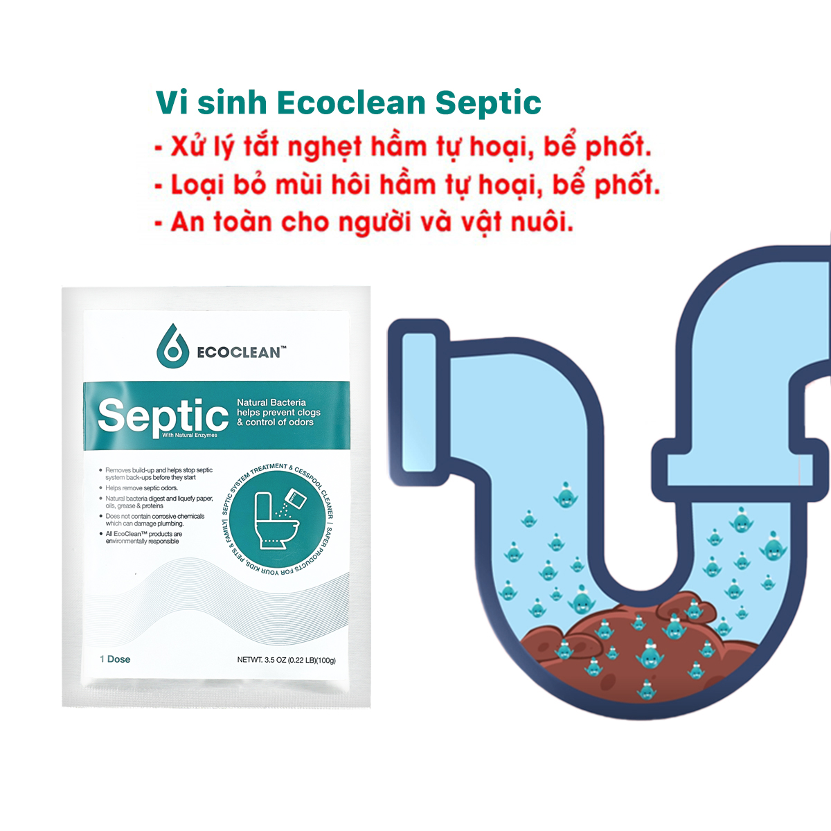 Men Vi Sinh Xử Lý Hầm Cầu Ecoclean septic 1 gói 100g