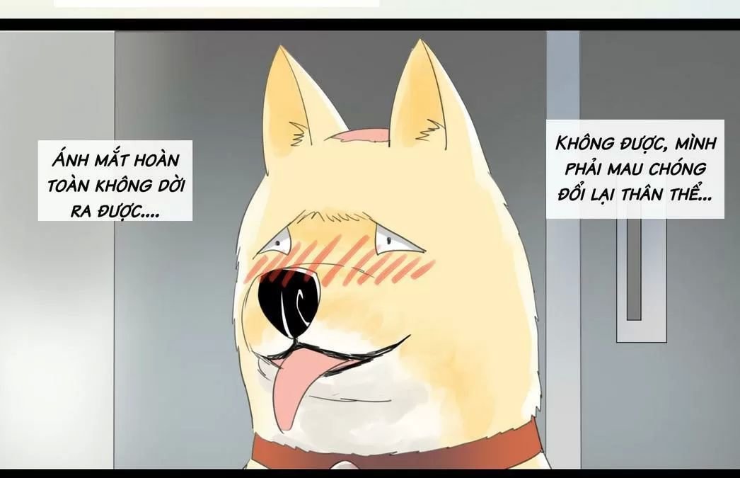 một con chó chapter 46 8