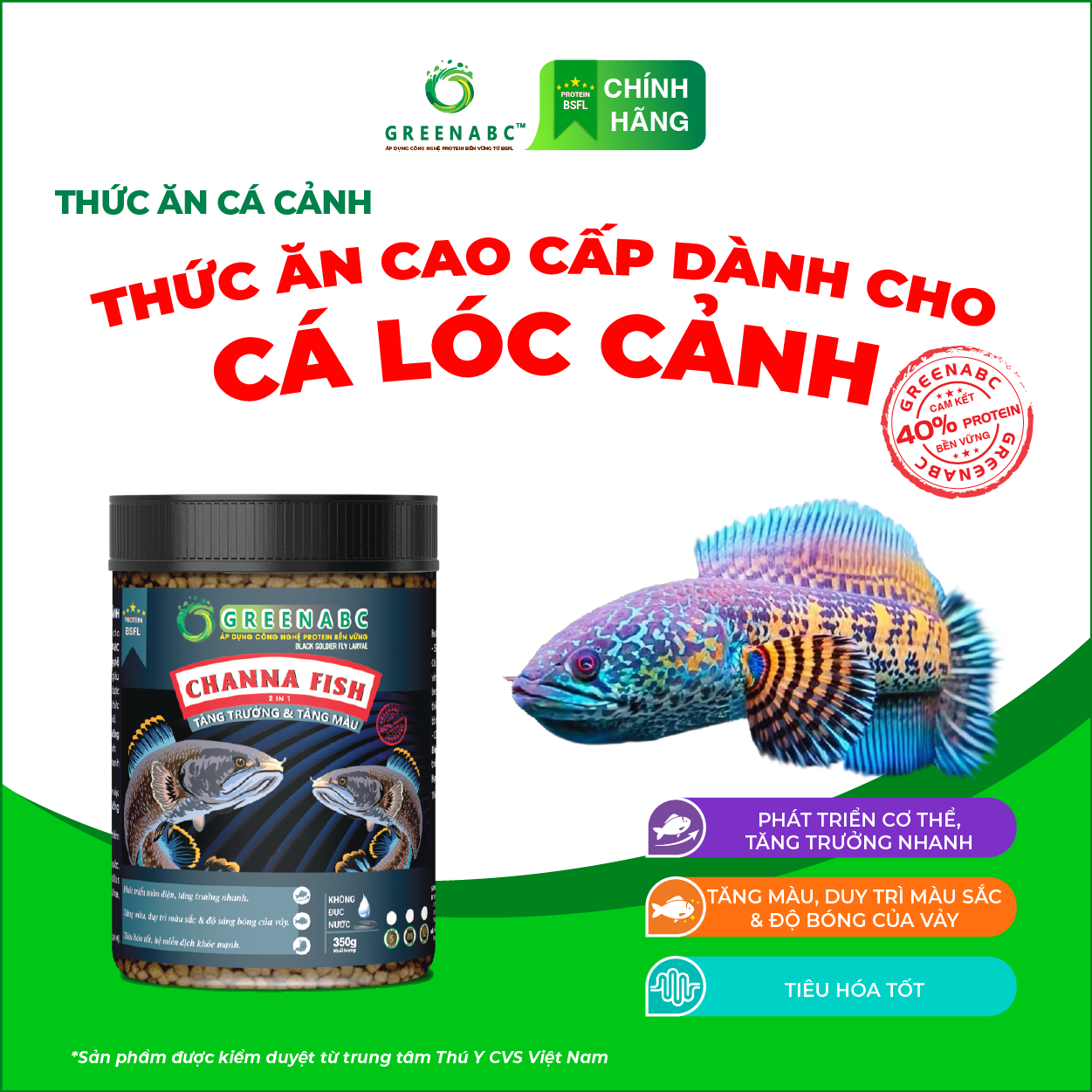 Thức ăn Cá Lóc Cảnh GREENABC - Channa Fish – Hàm lượng protein 40% giúp tăng trưởng nhanh, lên màu đẹp, màu sắc rực rỡ - Hộp 350g