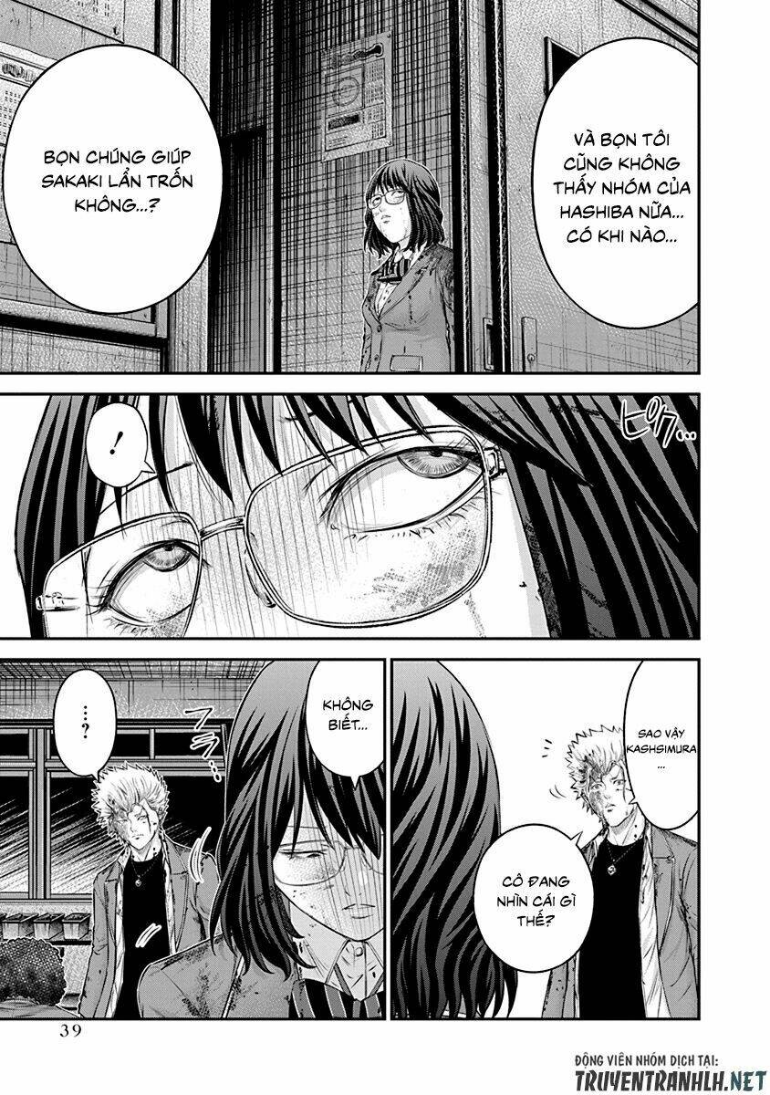 signal 100 chapter 22 13