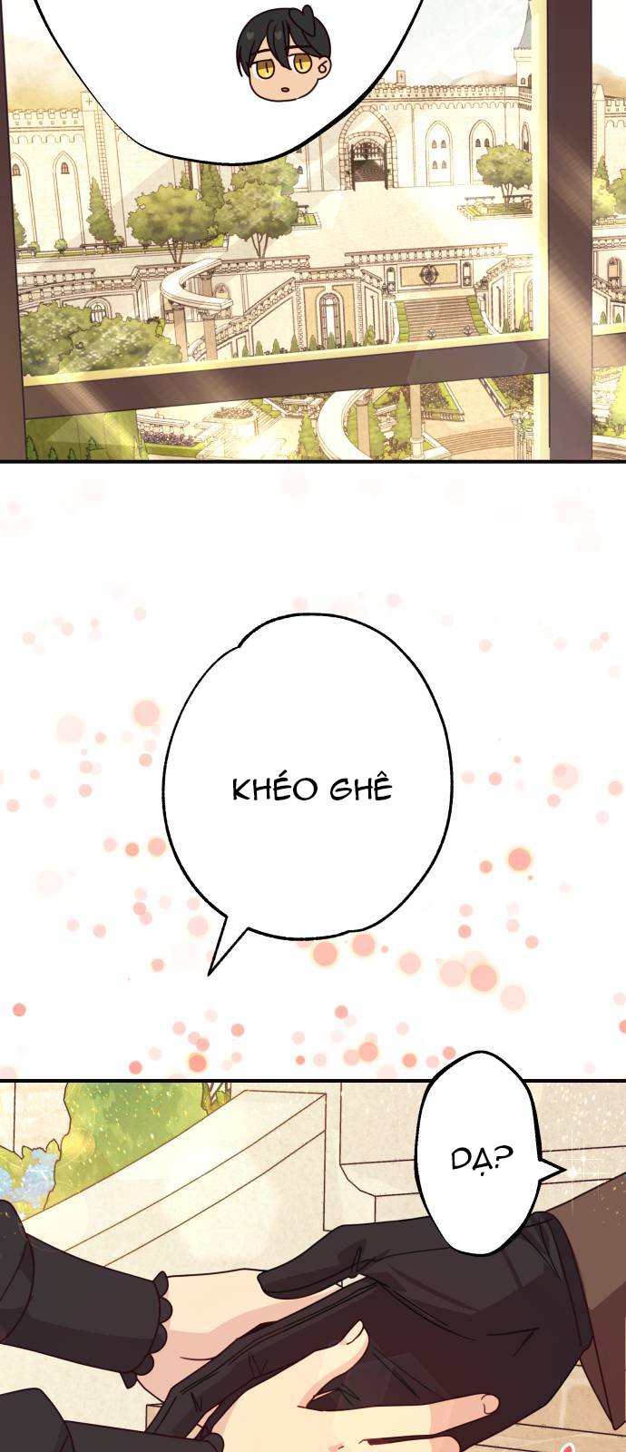 tôi không muốn kết hôn nữa chapter 4 28