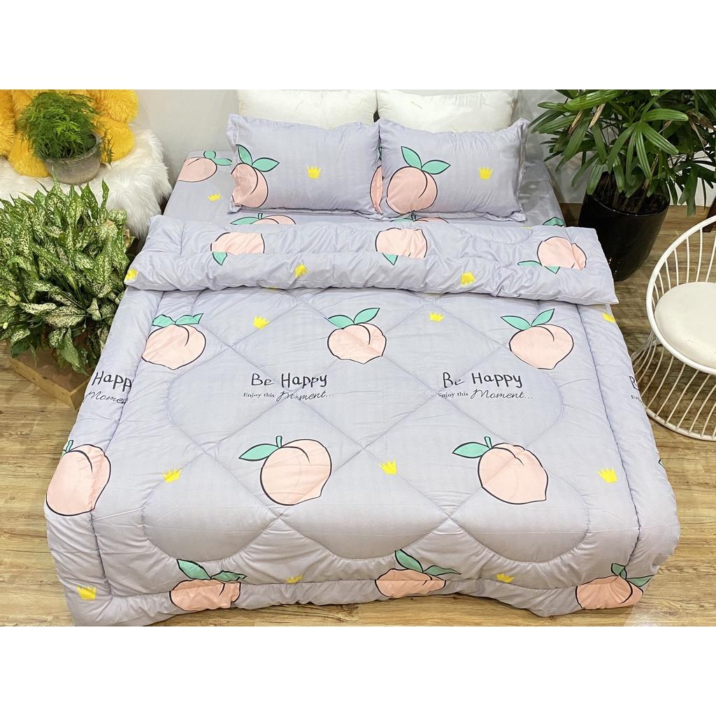 Set phao 5 món siêu rẻ