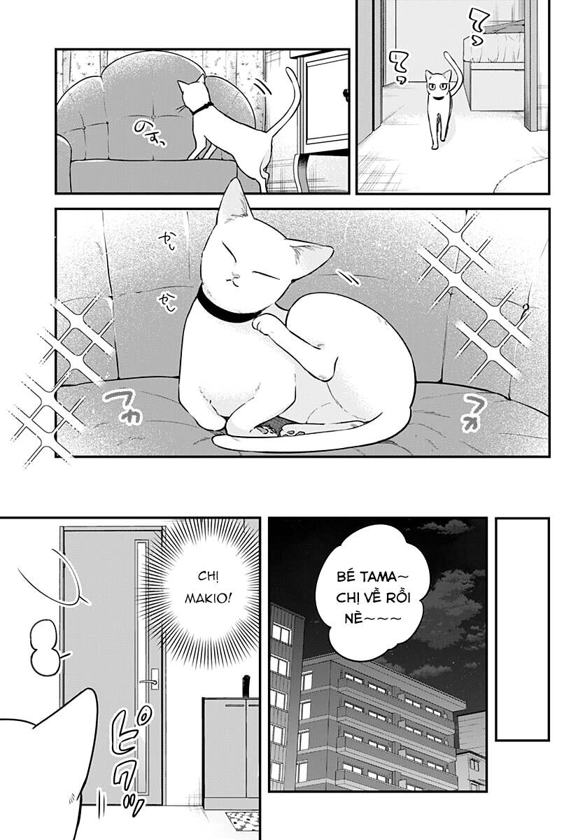 mi-chan muốn được nhận nuôi! chapter 8 29