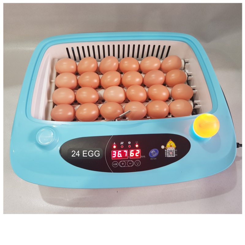 Máy ấp trứng mini 24 trứng - Đảo trứng tự động