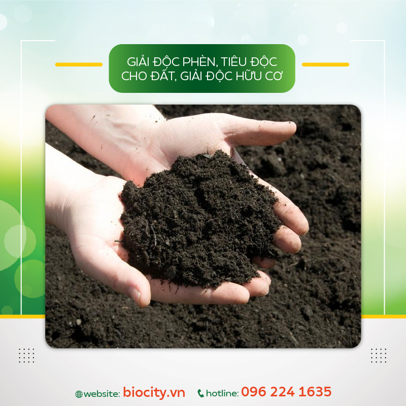 Chế phẩm sinh học giúp ra rễ mạnh, cải thiện vàng lá, xoăn ngọn - Ô Humic 500ml