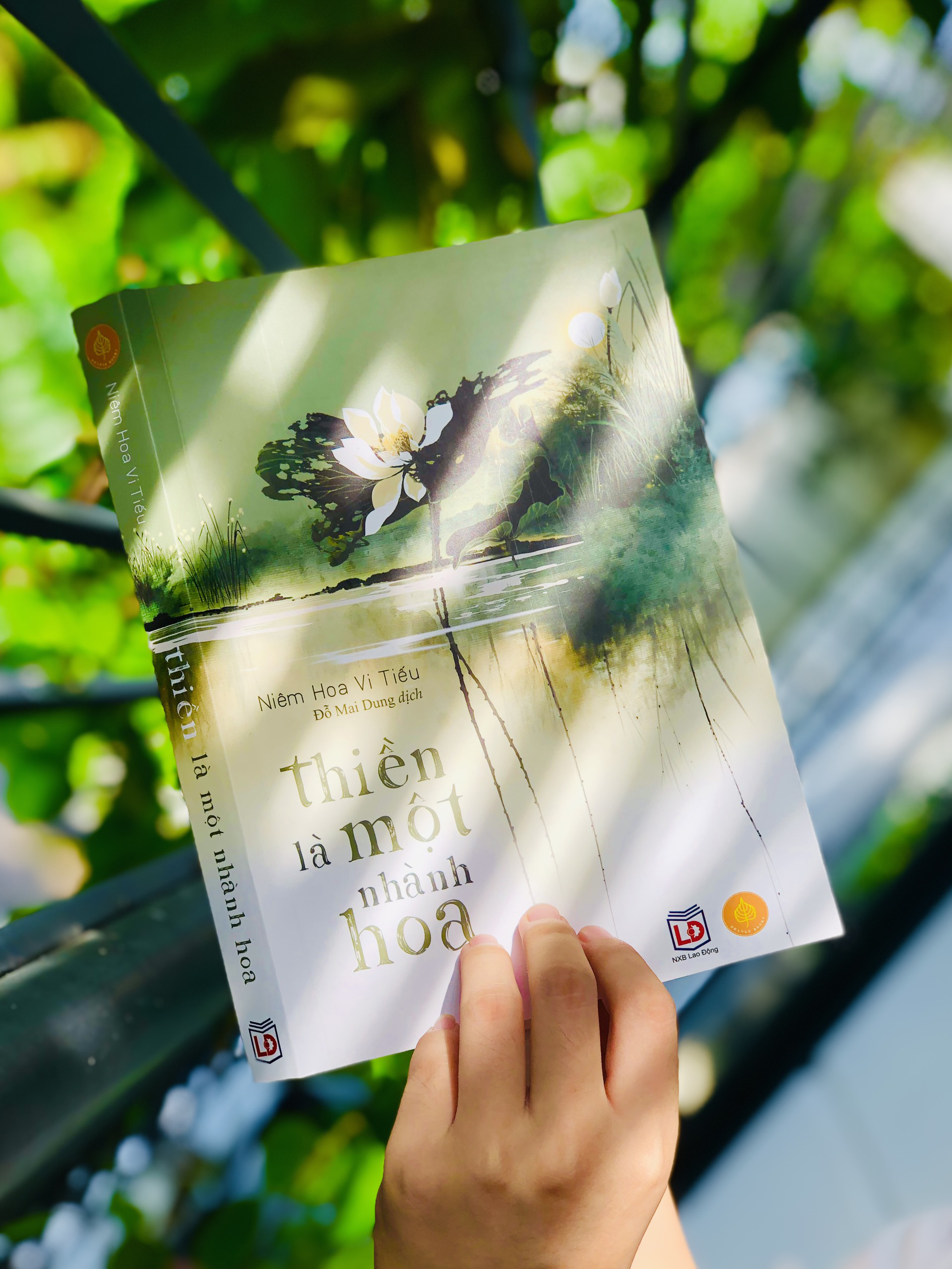 Bộ Sách Một Tách Trà Thiền - Á Châu Books, Bìa Cứng In Màu