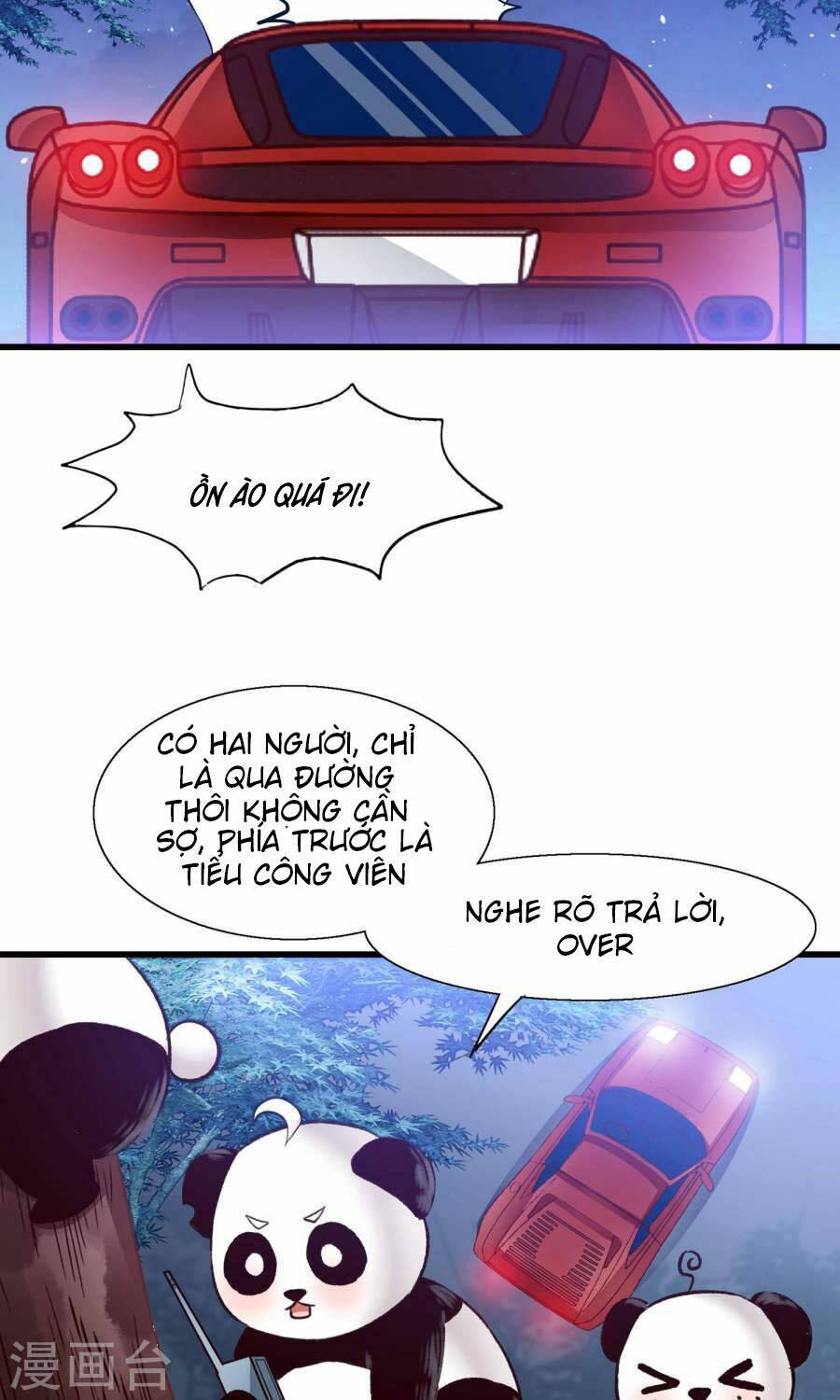 tôi bị gấu trúc nhìn trúng rồi chapter 10 27