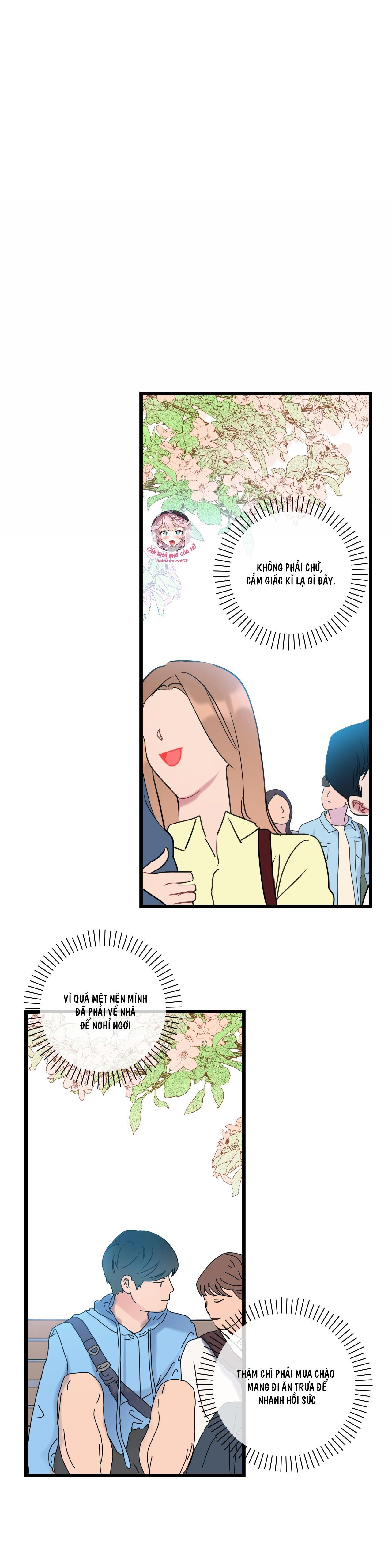 tình yêu bình dị nhất chapter 6 4