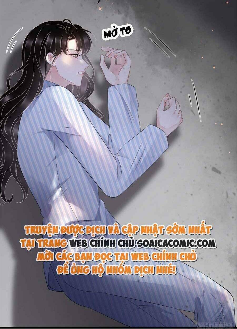 đại tiểu thư có ý đồ gì xấu đâu chapter 116 6