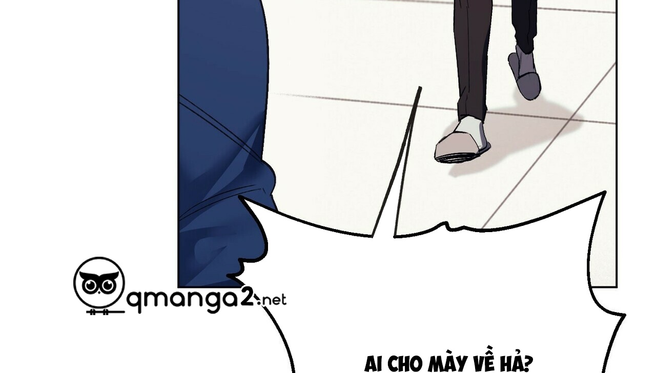 chàng dâu nhà họ kang chapter 2 12