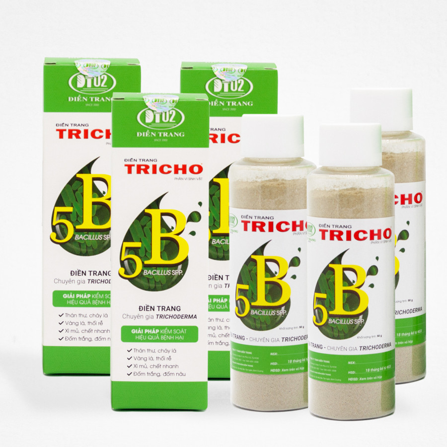 Combo 3 hộp Phân bón ĐIỀN TRANG-TRICHO 5B 50g/hộp