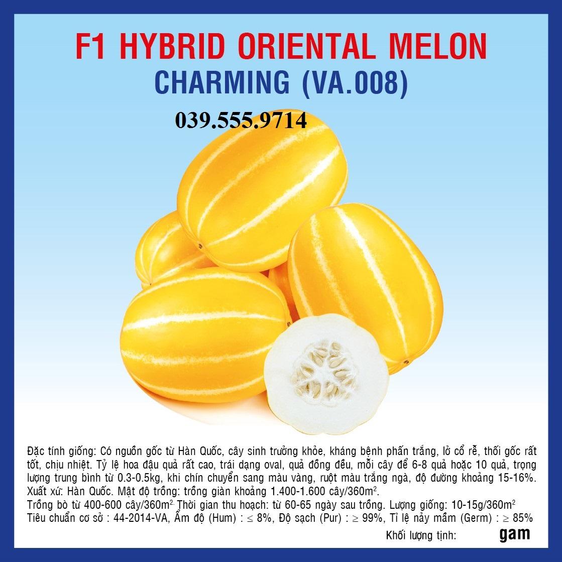 Hạt giống Dưa Lê Hàn Quốc Charming  – 10 Hạt