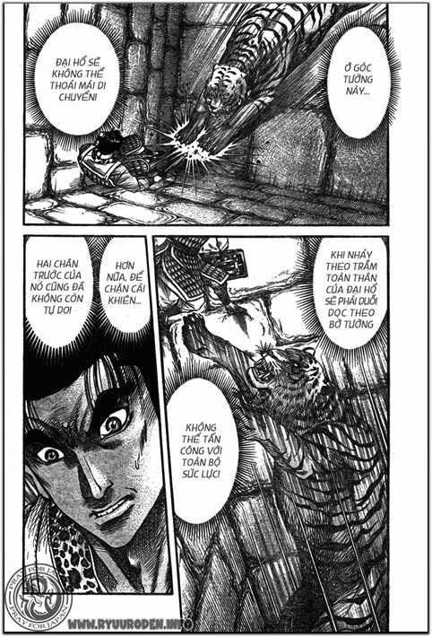 chú bé rồng - ryuuroden chapter 203 10