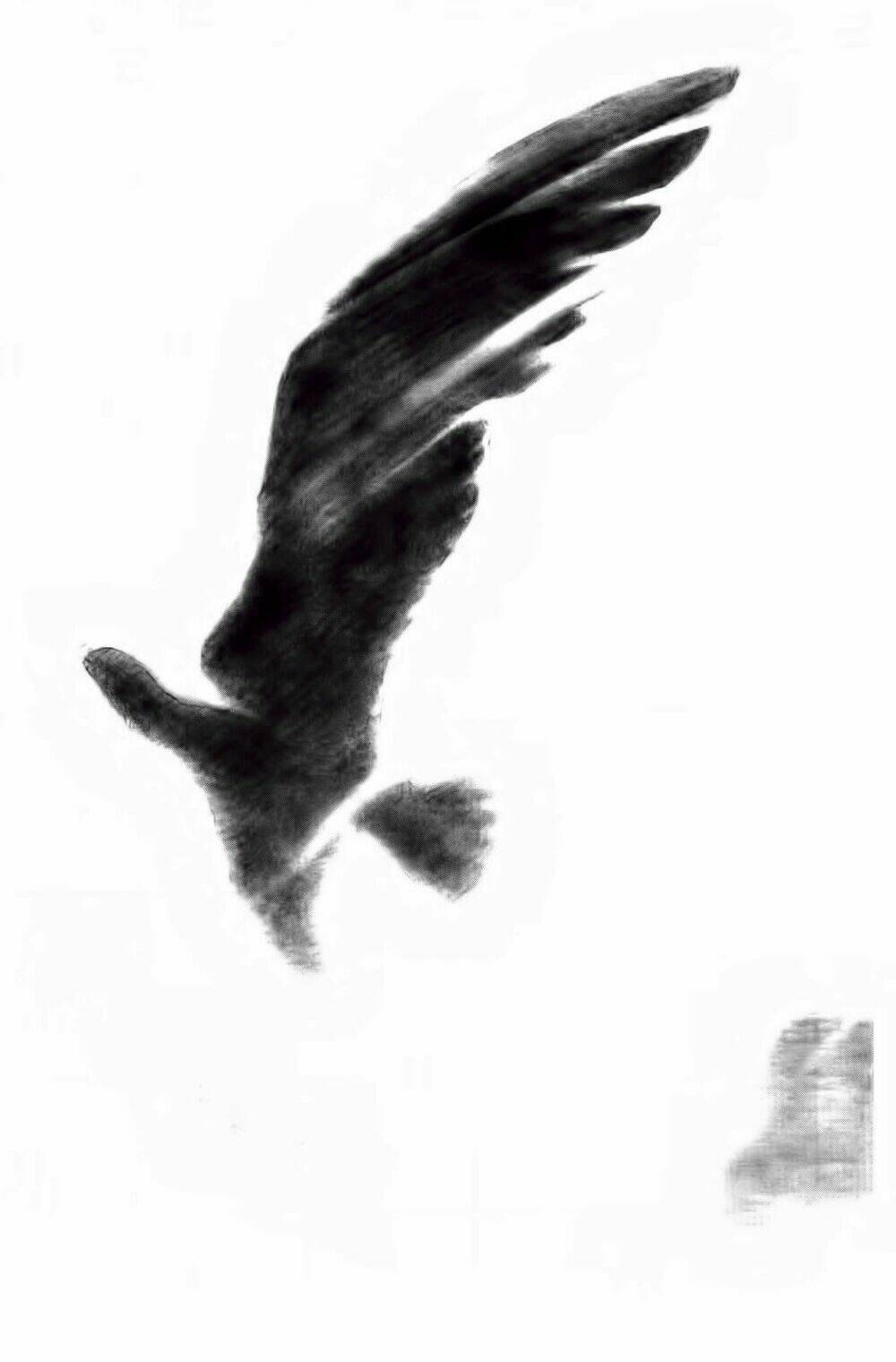 khỉ biển chapter 118 19