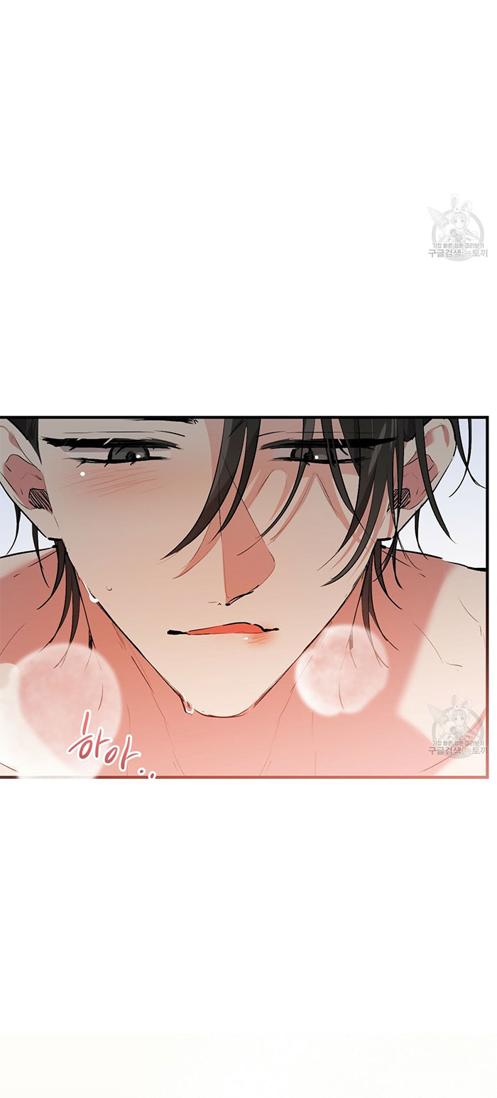 những chú thỏ của hapypy chapter 43 53