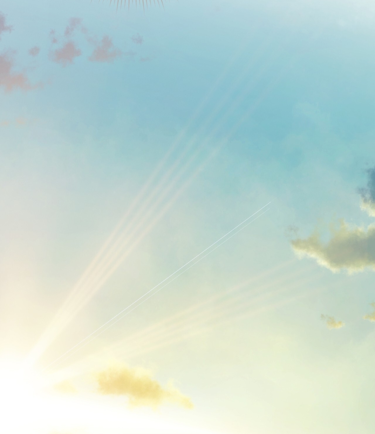 hợp đồng hôn nhân với hai người chồng chapter 5.2 9