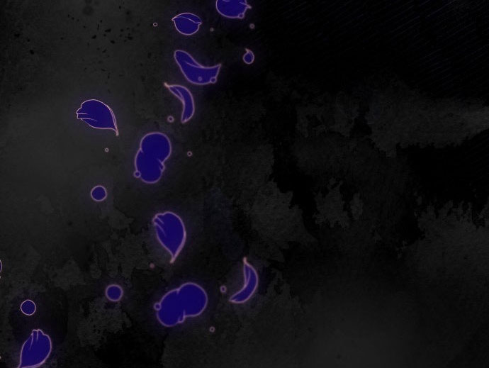 tôi trở thành vợ cũ của nam chính chapter 2.1 24