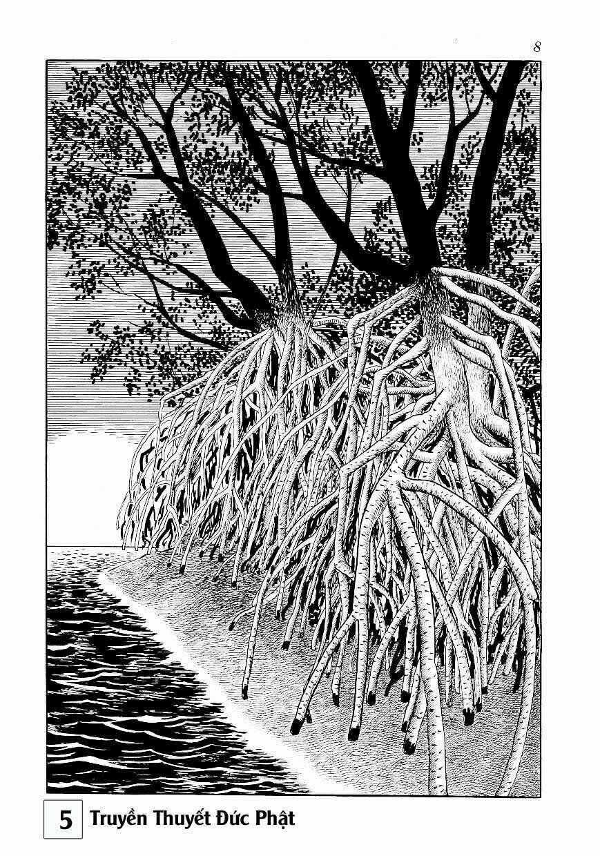 buddha - truyền thuyết đức phật chapter 23 8